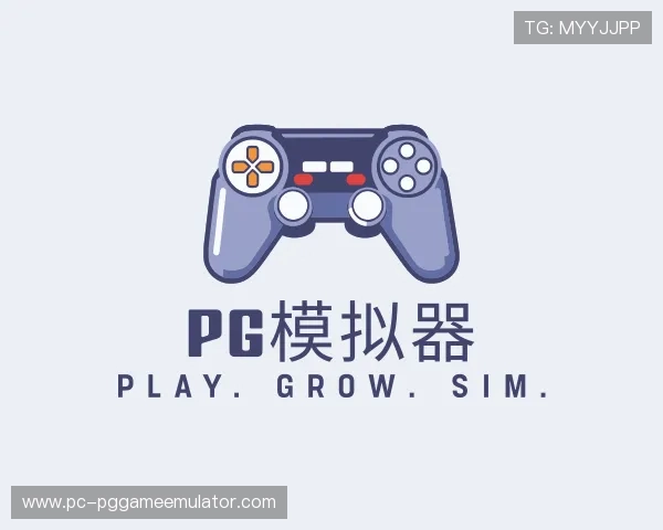 发现pg模拟器公司